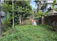 Row House Bungalow 437